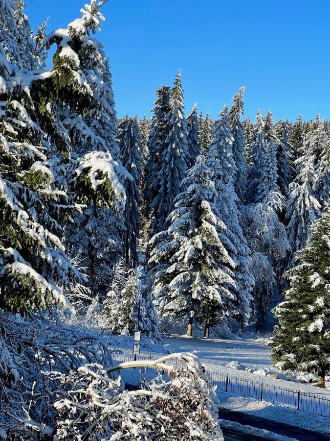 Winterberg Appartement Winterspot المظهر الخارجي الصورة